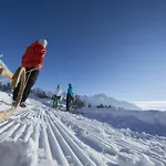 ホテル Aktivhotel Waldhof 4*