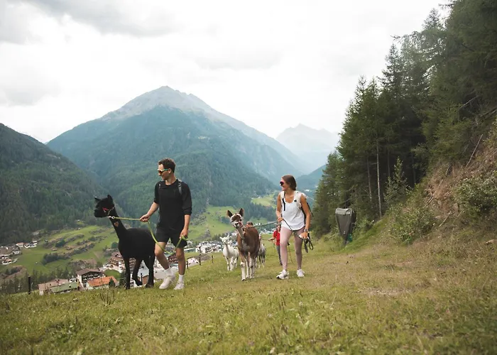 Aktivhotel Waldhof 4*